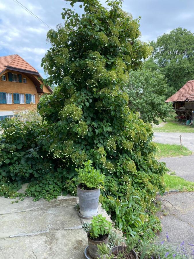 B&B Tannen124 Oberburg Kültér fotó