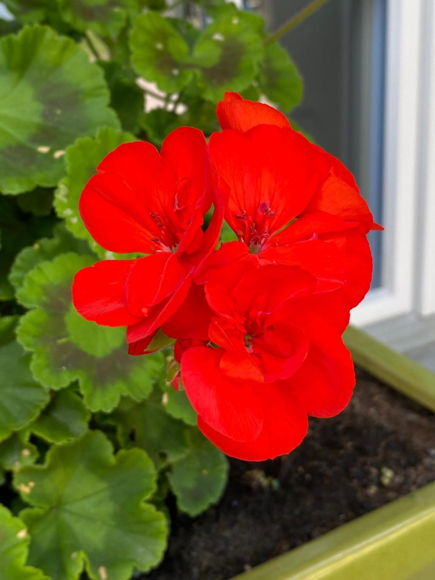 B&B Tannen124 Oberburg Kültér fotó