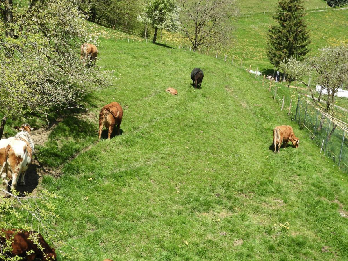 B&B Tannen124 Oberburg Kültér fotó
